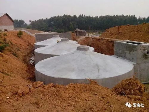 7條畜禽養殖污染防治知識及工程總承包服務